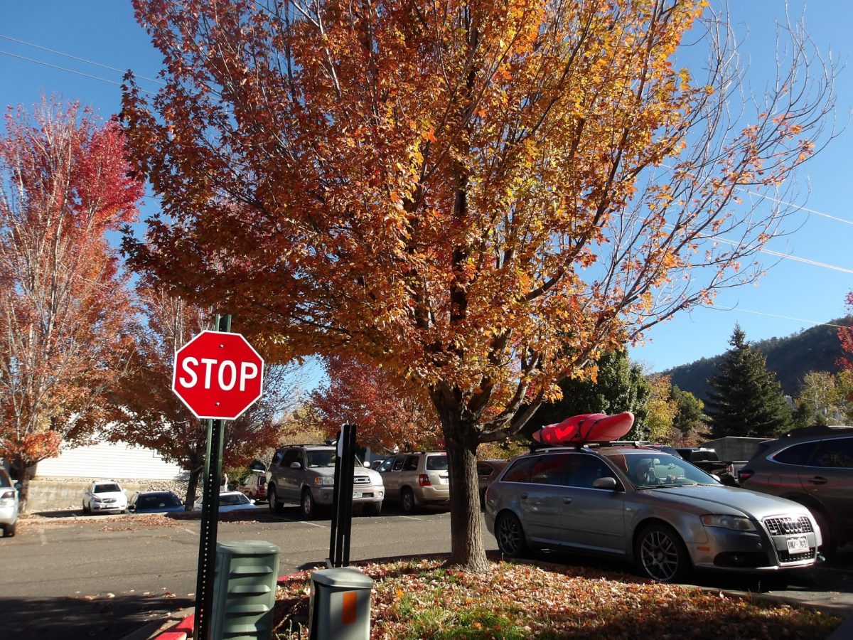 Stop! Admire Dani's fall foliage photo series