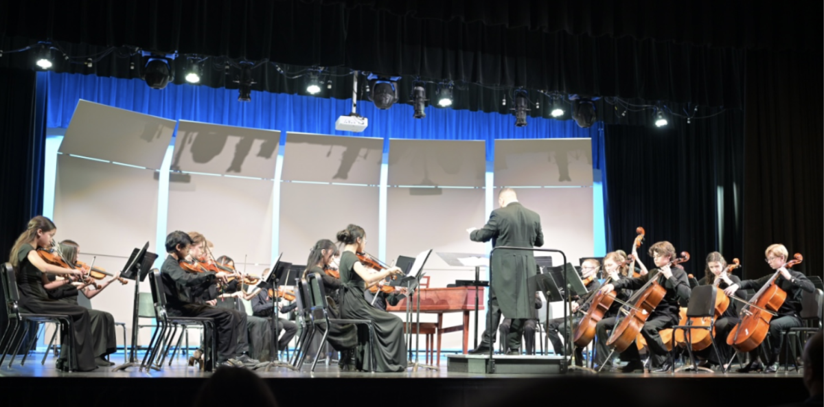 Finding growth and belonging through the Northern Colorado Youth Orchestra