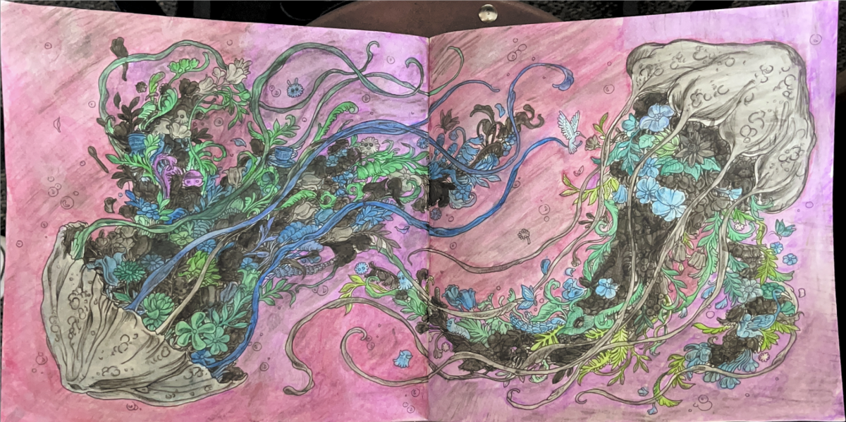 Bella's Art