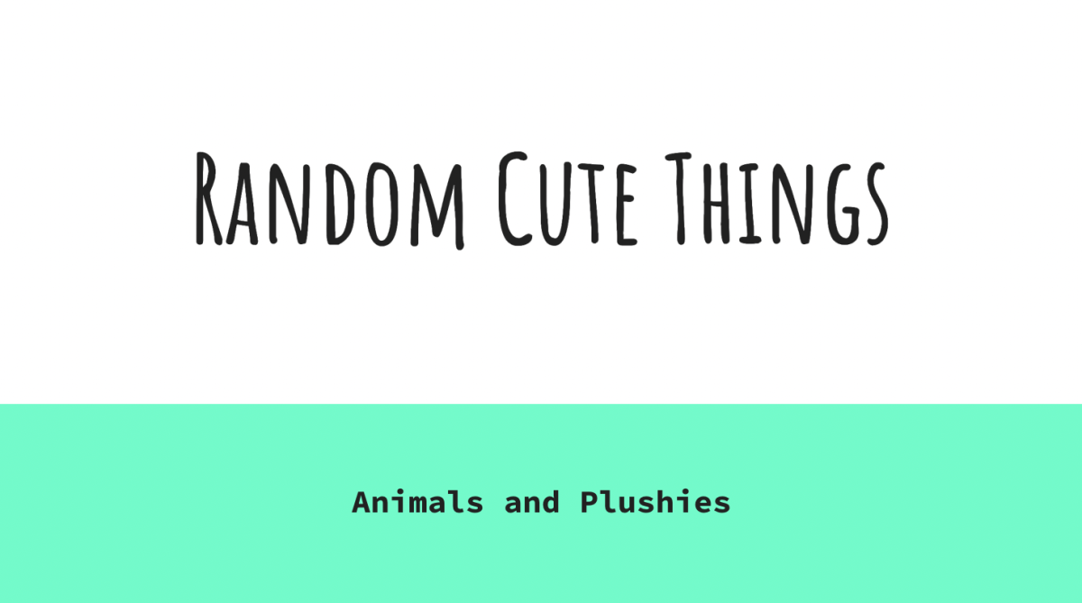 Random Cute Things