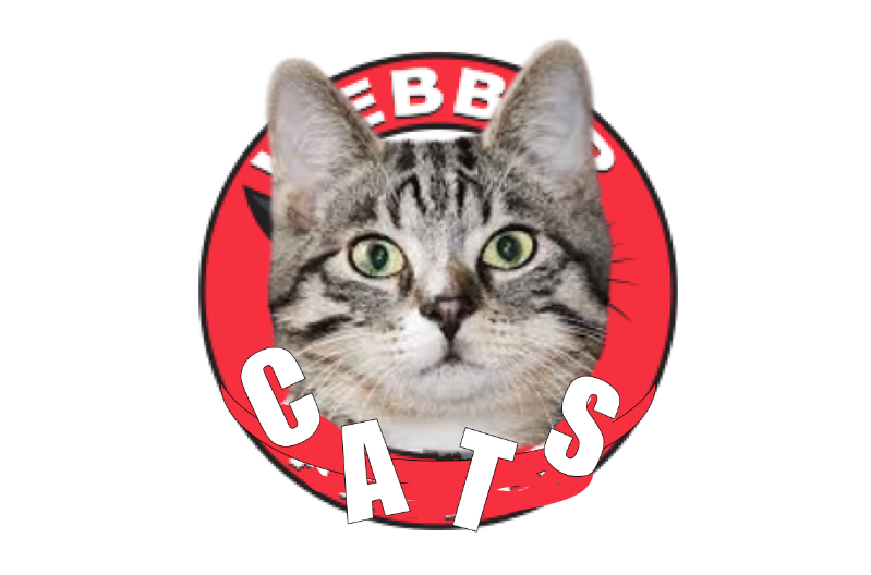 New WEBBER mascot CHANGE!!
