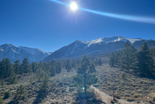 Survival: Hiking Trip Quiz